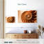 Coque Aletra Nautilus à l'intérieur-107680920