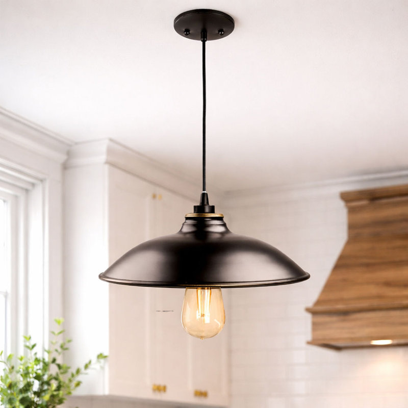 Luminaire suspendu d'extérieur 1 lumière Einberger