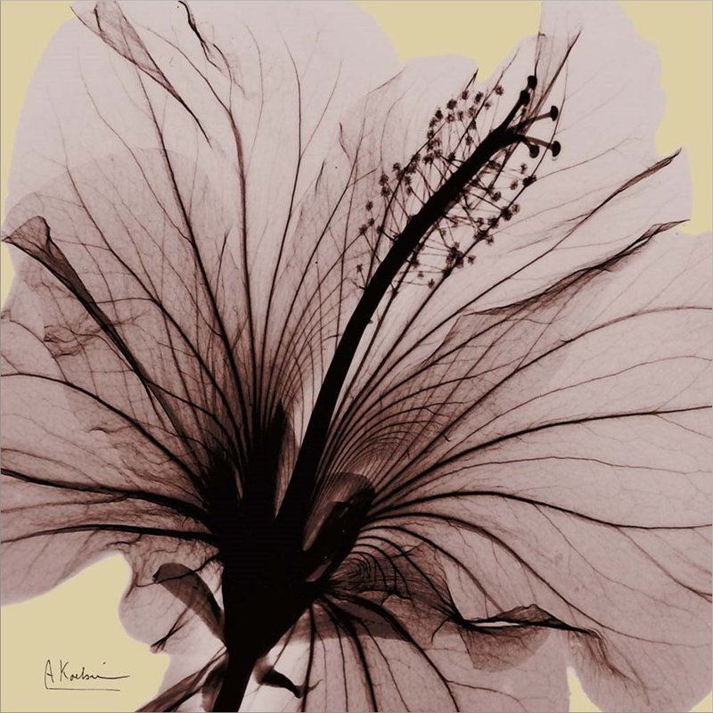 Décoration murale hibiscus