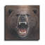 «Bear 2» par Harro Maass-769967418