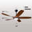 54" Ceiling Fan With Light