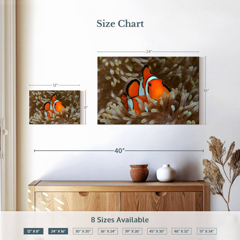 Bramem Wakatobi Anemonefish Pet, H 16 po x l 24 po