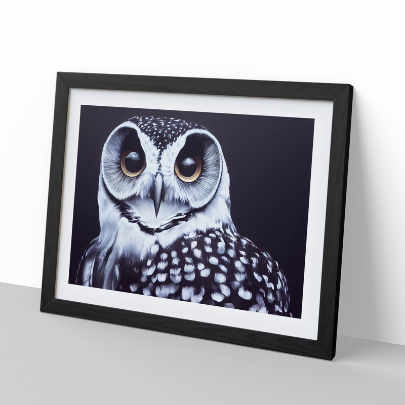 An Enigmatic Owl - Single Picture Frame Print, Black, 46cm H x 64cm W x 2cm D