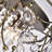 Hershberger Semi Flush Mount-116791929