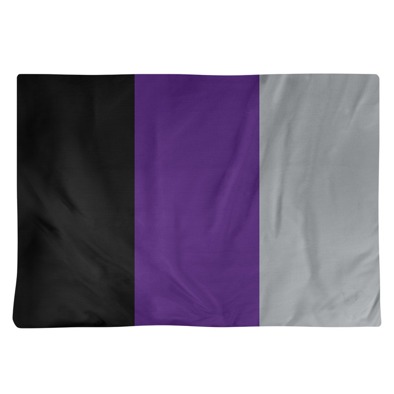 Récapitulatif de 18 po Texas Fort Worth, Noir / Mauve / Gris, Polyester sergé