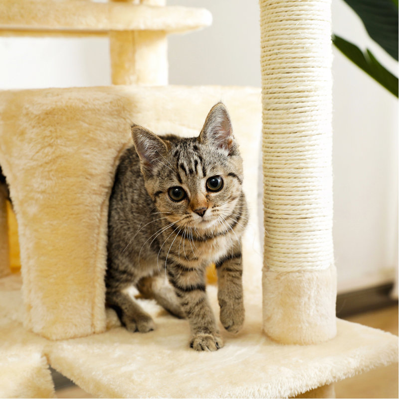 Arbre à chat en sisal, Beige
