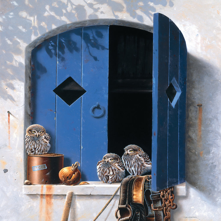 «Visiting Birds I», impression sur toile, H 12 po x l 12 po x P 1,5 po, Toile tendue, Pas de tapis