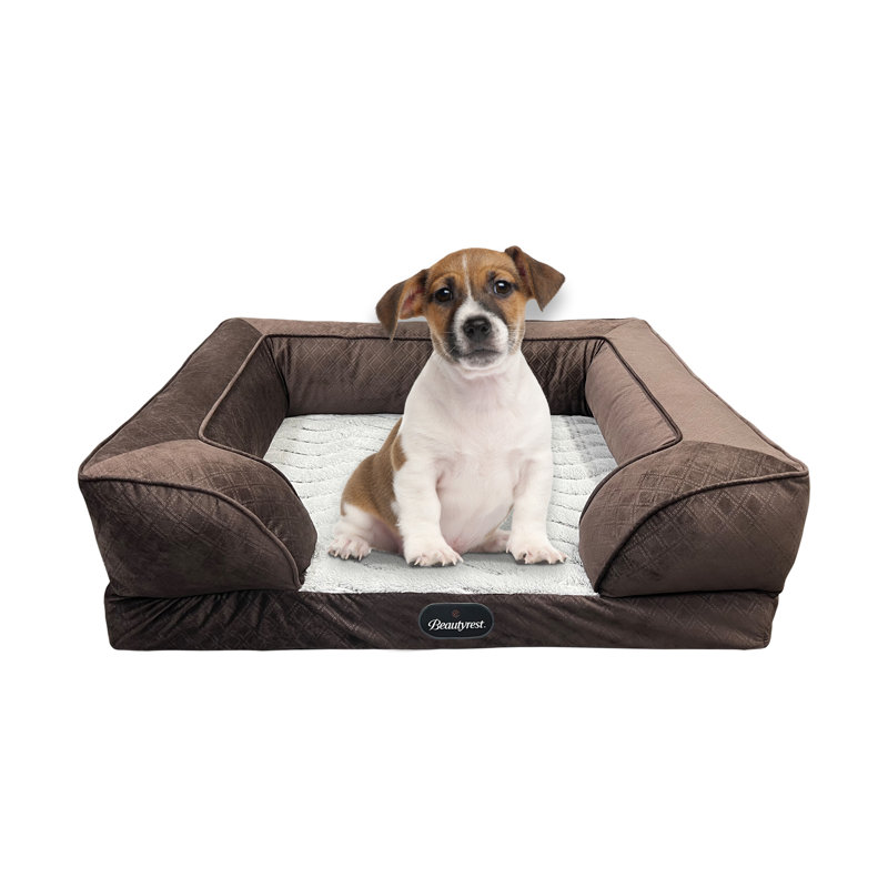 Lit pour animaux Supreme Comfort Couch, Moyen (l 26 po x P 22 po x H 8 po), Brun