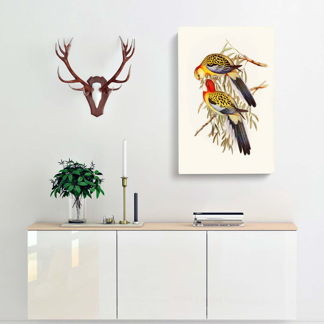 Splendid Parakeets by Elizabeth Gould - Wrapped Canvas