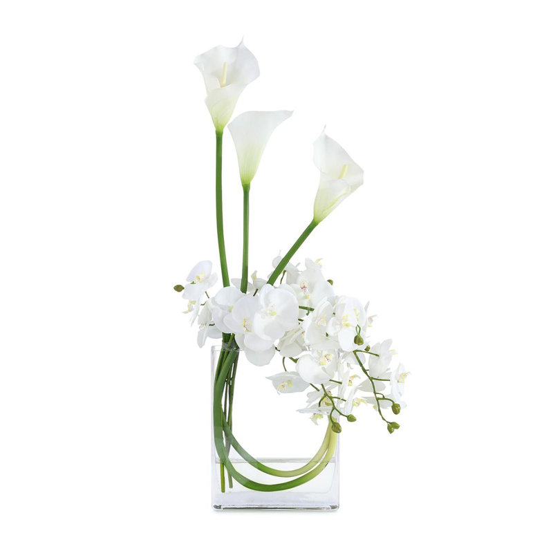Fleurs blanches enneigées
