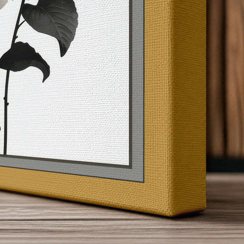 Hydrangea Study Botanical - Wrapped Canvas, 36x24 - 91.4 x 61.0 cm, Ochre Border