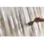 Silver Antre - Wrapped Canvas Painting