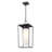Jadine Outdoor Hanging Lantern-1657948876