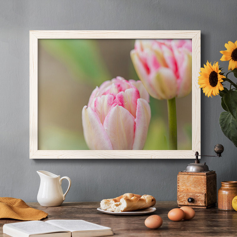 " Blush ", 26" H x 38" W x 1.5" D, White
