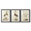 Antique Heron I - reproduction sur mesure encadrée de qualité supérieure - 3 pièces-339623390-339623384