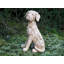 Haddox Plastic Garden Statue