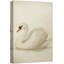 Élégant cygne blanc sur fond neutre doux - reproduction d'art sur toile encadrée-120783617-120783621
