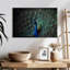 Paon bleu noble-1769243385