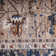 Oriental Indoor Rug