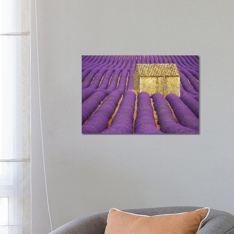 France, Provence, Valensole Plateau. Lavender Crop Surrounds Stone Hut. by Jaynes Gallery - Wrapped Canvas Print