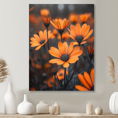 Mono, orange, noir, rustique, beauté, marguerites - marguerites, art mural, salon