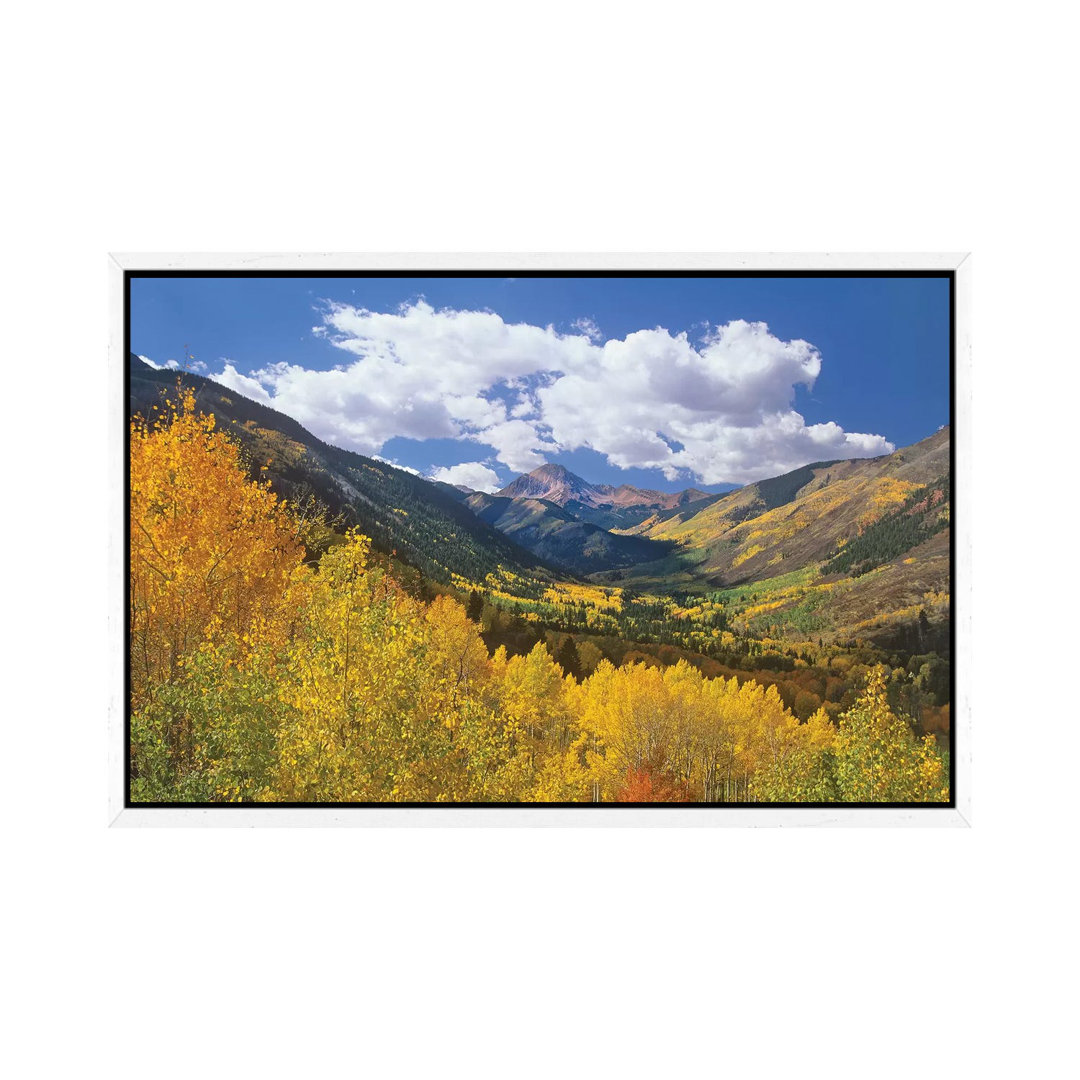 Haystack Mountain With Aspen Forest, Maroon Bells-Snowmass Wilderness, Colorado von Tim Fitzharris - Gallery-Wrapped Can...