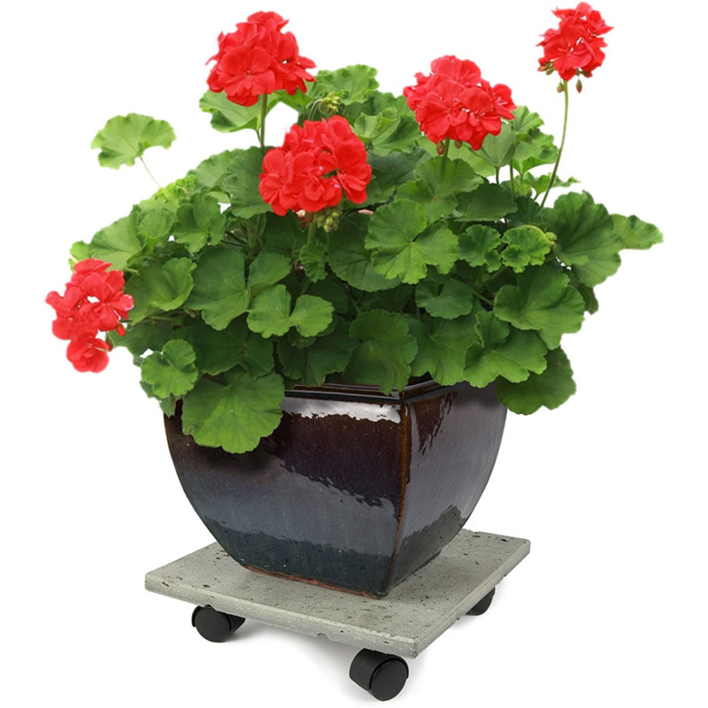 Weather Resistant Caddy Plant Stand