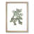 Oak Framed selected