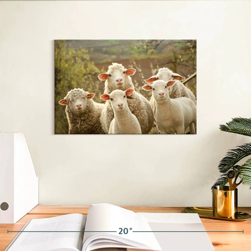 Stunned Sheep, 8" H x 12" W