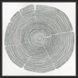 Time Lines 1 Print