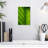 Harnek Tropical Ginger Leaf-108252381