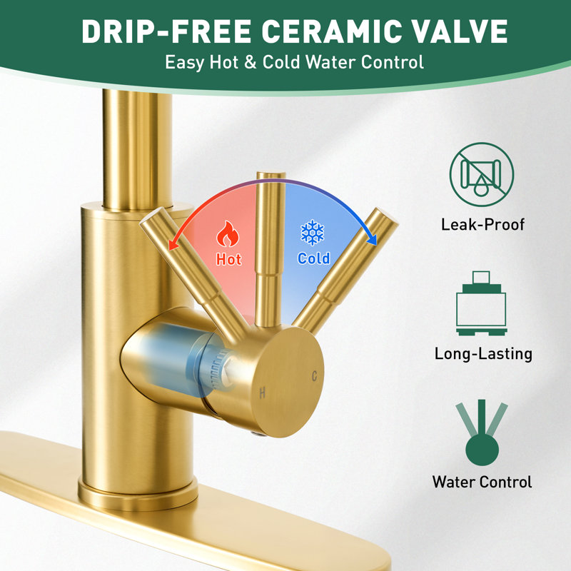 Kitchen Faucet with Pull Down Sprayer, Dual-Function Single Handle Kitchen Sink Faucets, 304 Stainless Steel with Deck Plate, Fits 1 or 3-Hole Sinks, Brushed Gold