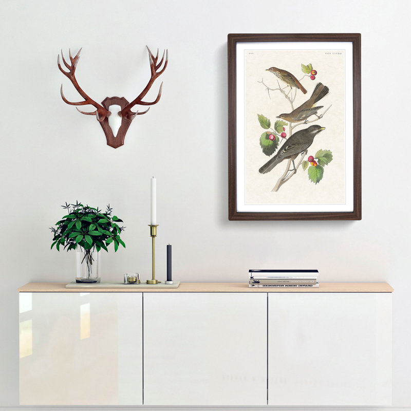 Selection of Birds by John Audubon - Picture Frame Painting Print, 65cm H x 48cm W x 2cm D, Walnut Framed