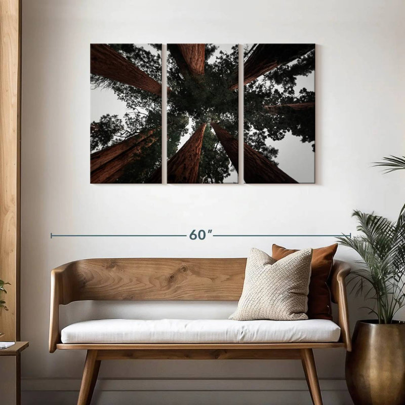 Redwoods de Harnek en Californie, H 28 po x l 45 po