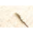 Sienna Cream Rug 4'11" x 8'1"