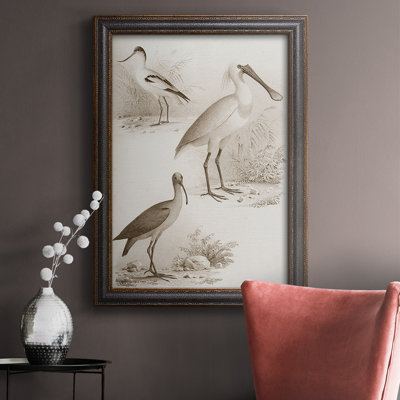 Toile encadrée de qualité supérieure sépia, oiseaux d'eau II, prête à être accrochée