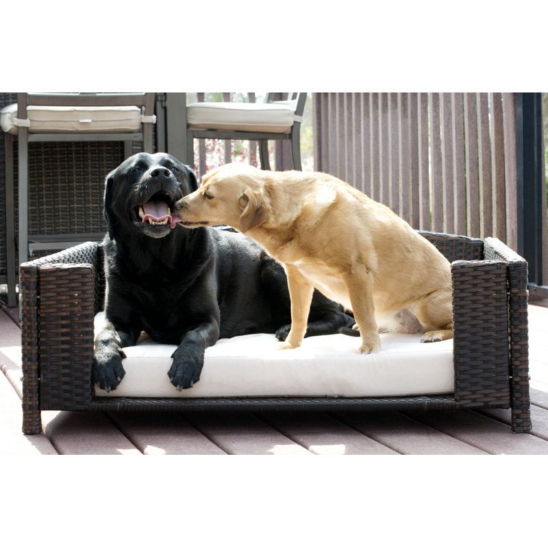 Canapé pour chien en rotin Cristobal, Moyen (l 35 po x P 23,5 po x H 12 po)