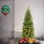 Sapin mince et illuminé-2019838857-2019838862