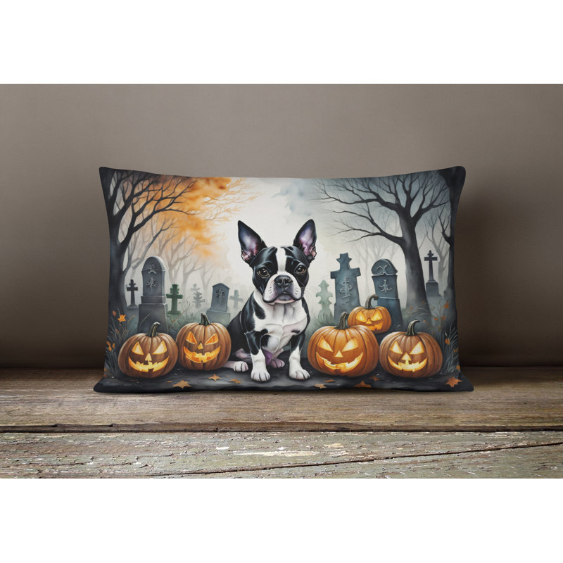 Other/No Pattern Outdoor Throw Pillow