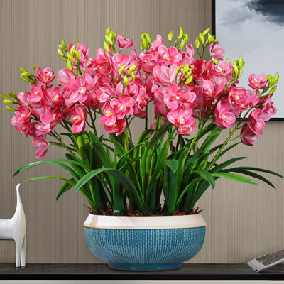 Simulations de décorations florales pour le salon