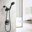 Pomme de douche ABS double
