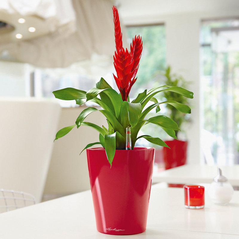 Deltini Pot Planter