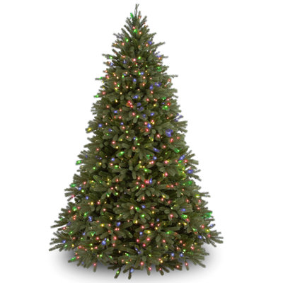 The Holiday Aisle® Jersey Fraser Fir Tree