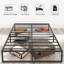 Base de lit en métal - Lit plateforme grand lit robuste de 16 pouces sans sommier, assemblage facile, base de matelas robuste et silencieuse, espace de rangement sous le lit