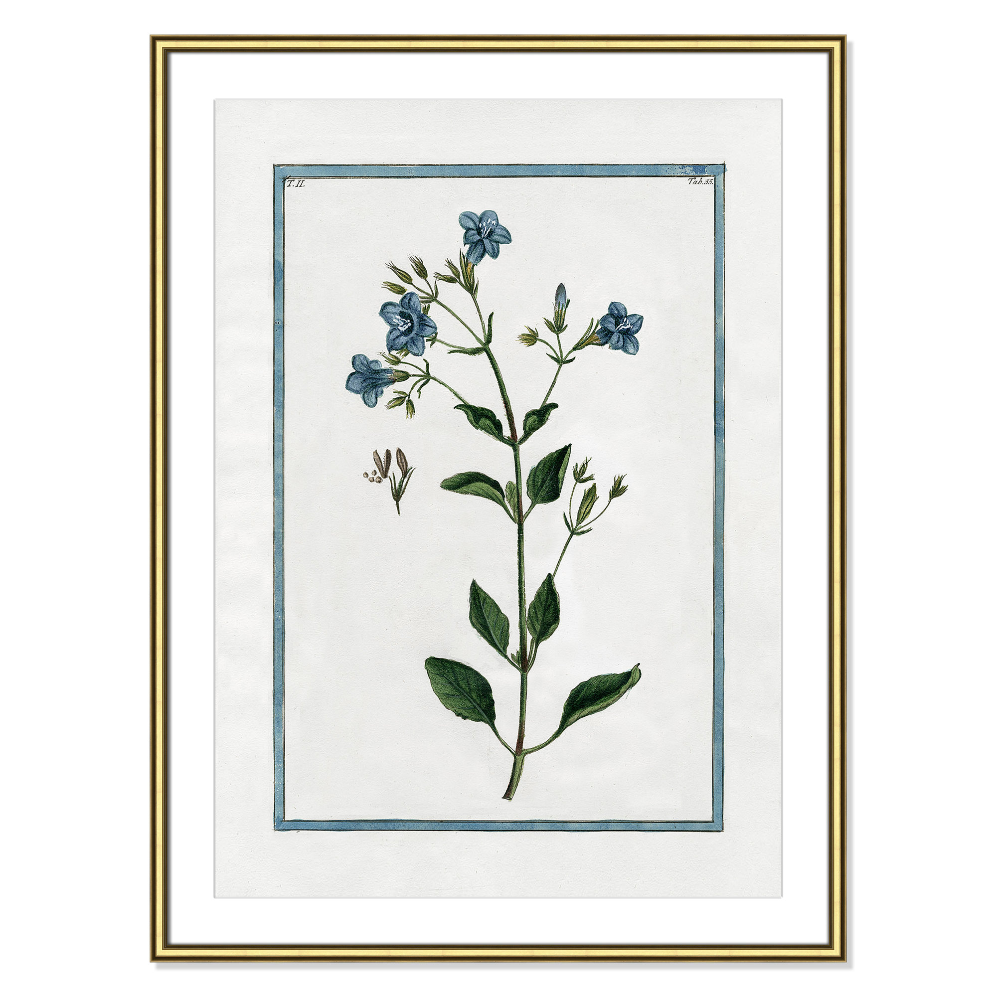 Shabby Elegance Botanical II - Framed Art, 26.75" W x 36.75" H, Gold Framed