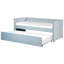 Baskin Upholstered Daybed with Trundle-696839782