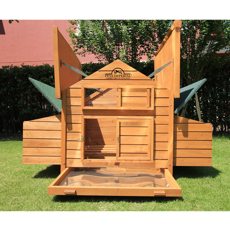 Pets Imperial® Double Savoy Chicken Coop with 2 Nest Boxes and Run Suitable for Up to 10 Small Birds