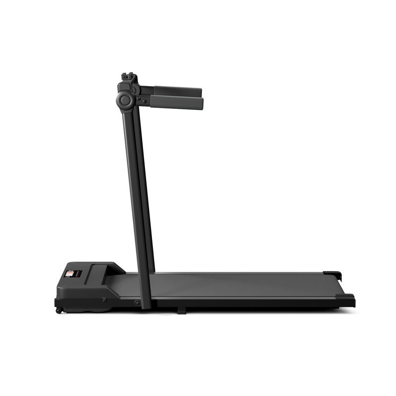 Steel, PP Sports Rack
