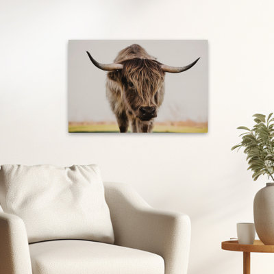 Gros plan - Portrait d'une vache des Highlands contemporaine, photographie rustique d'animaux de ferme