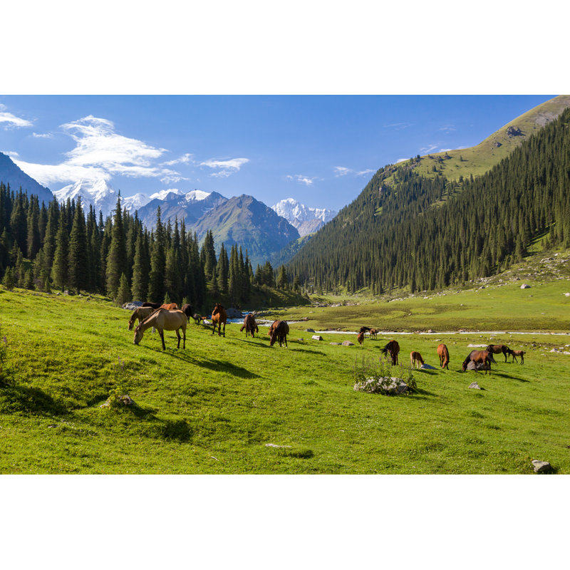 Halsey Horses In Mountains by Evgeny_D - Wrapped Canvas Print, 30cm H x 46cm W x 3.8cm D